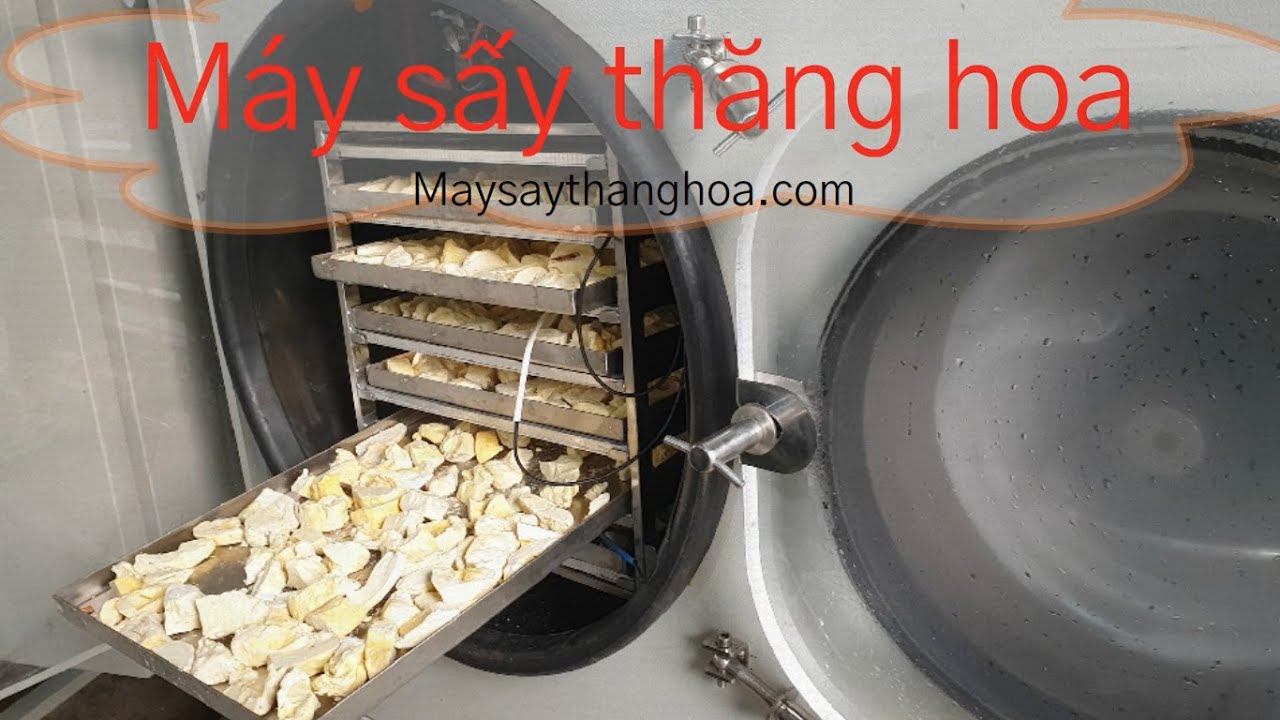 Máy sấy thăng hoa, hiểu rõ Đặc điểm, nguyên lý sấy và quy trình sấy