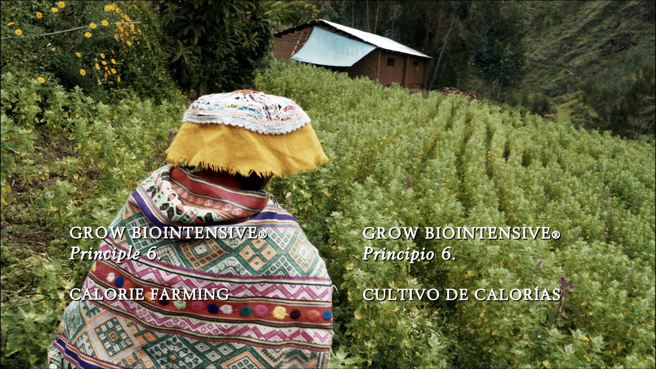 7: Calorie Farming