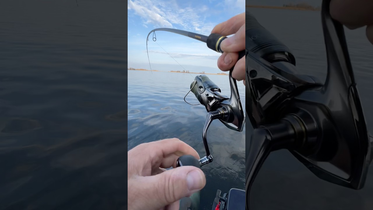 Прямо под лодкой #polycarp #fishing #рыбалка #отдыхнаприроде #ловлящуки