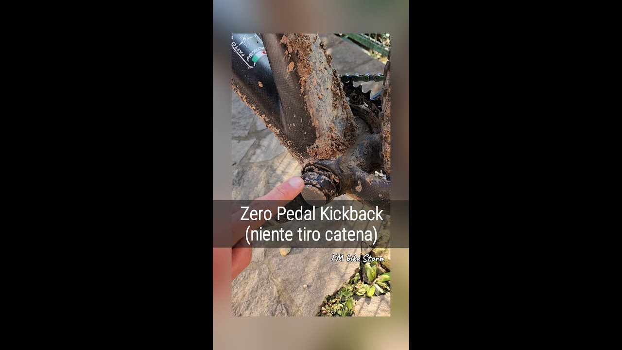 FM bike Storm - Zero Pedal Kickback