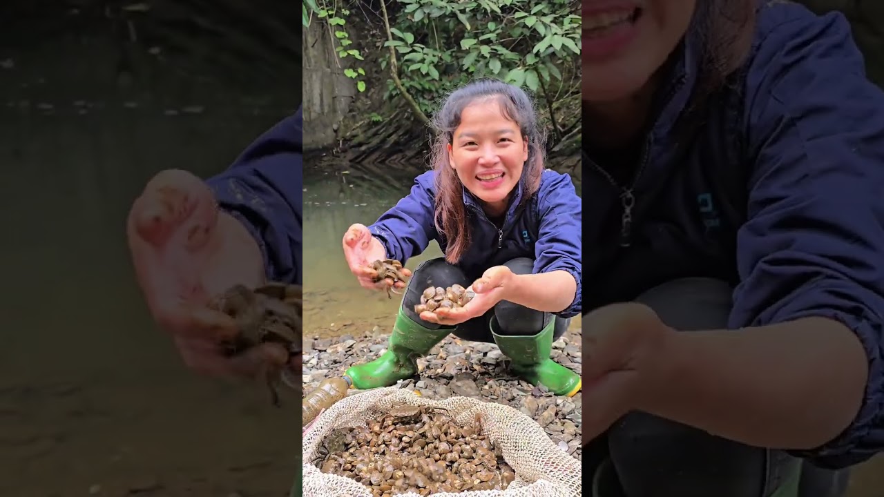 Ngăn dòng nước từ con đập khủng lồ để bắt tôm, cua, cá và hến