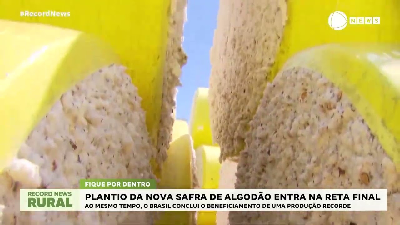 Algodão brasileiro é um dos ‘melhores do mundo’, afirma diretor-executivo da Abrapa | Record News