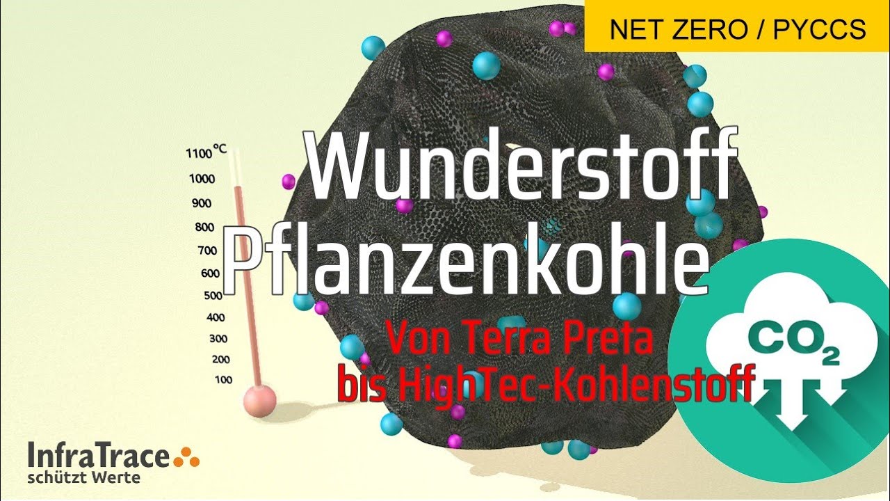 Biomasse zu Pflanzenkohle zu Terra Preta oder HighTec-Kohlenstoff