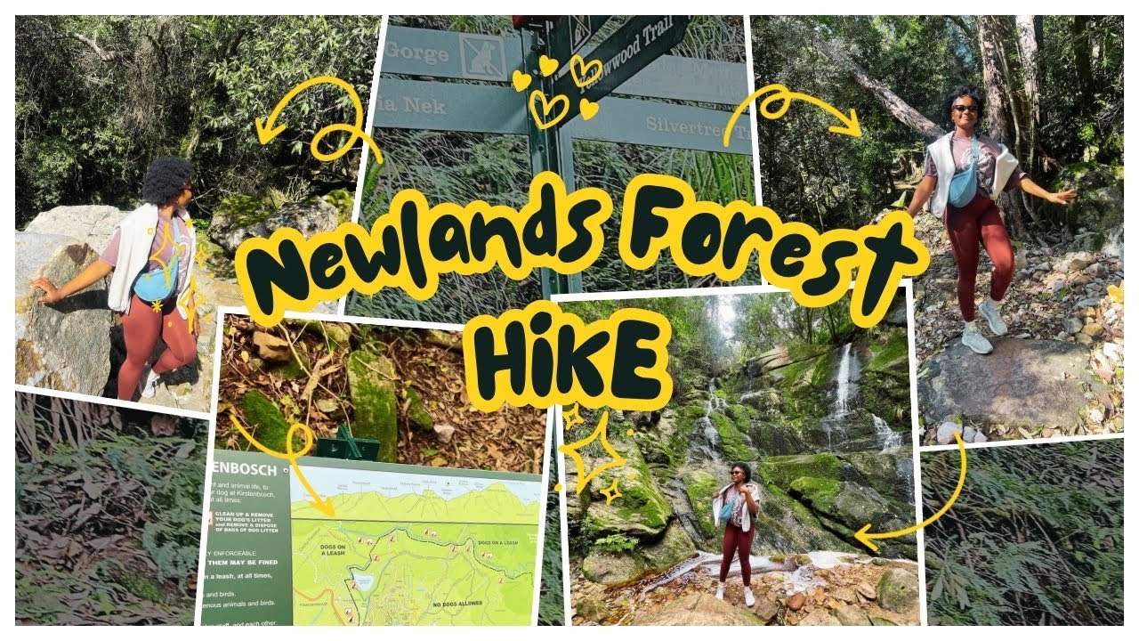 Newlands Forest Hike Vlog | We got lost?!😱😬