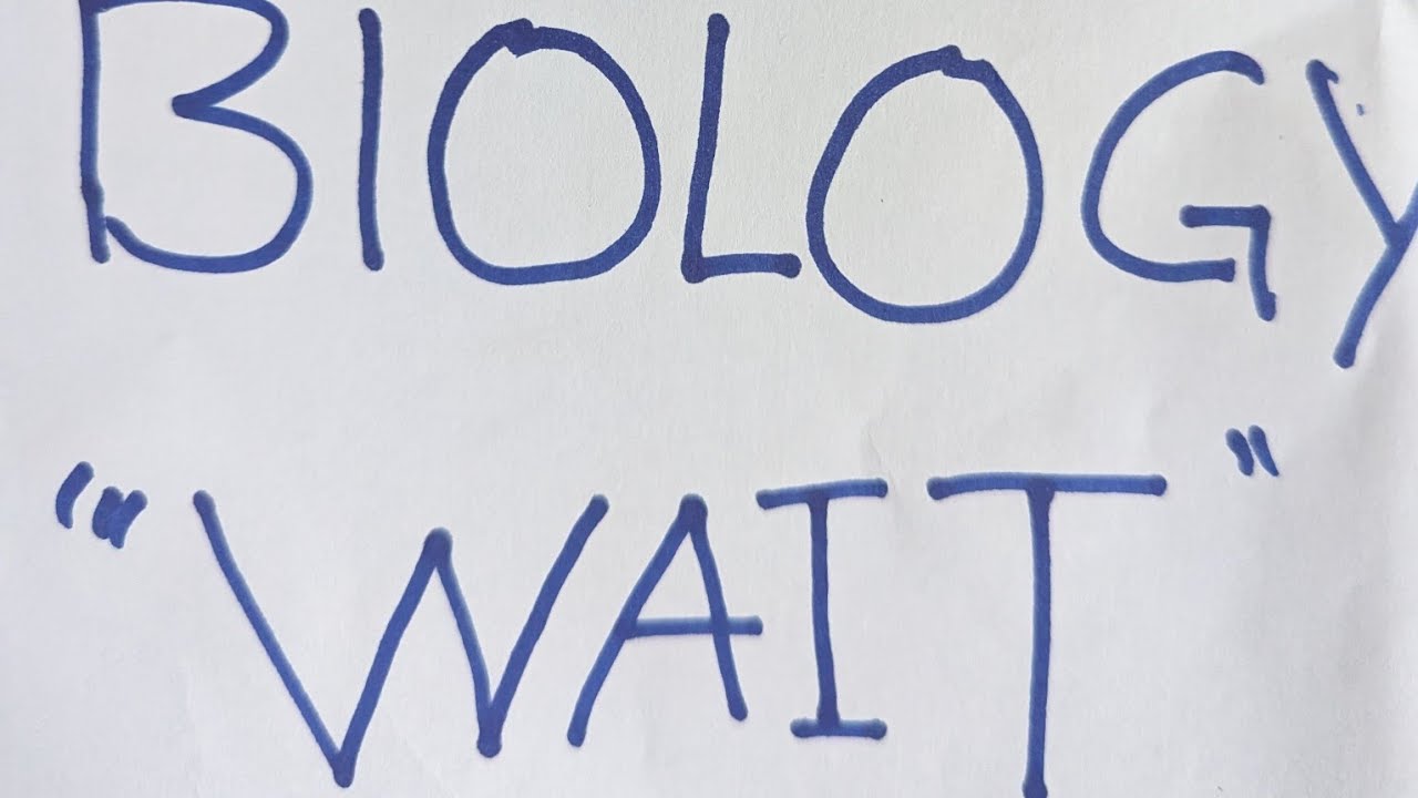 BIOLOGY PAPER 2 2009 INTERNAL