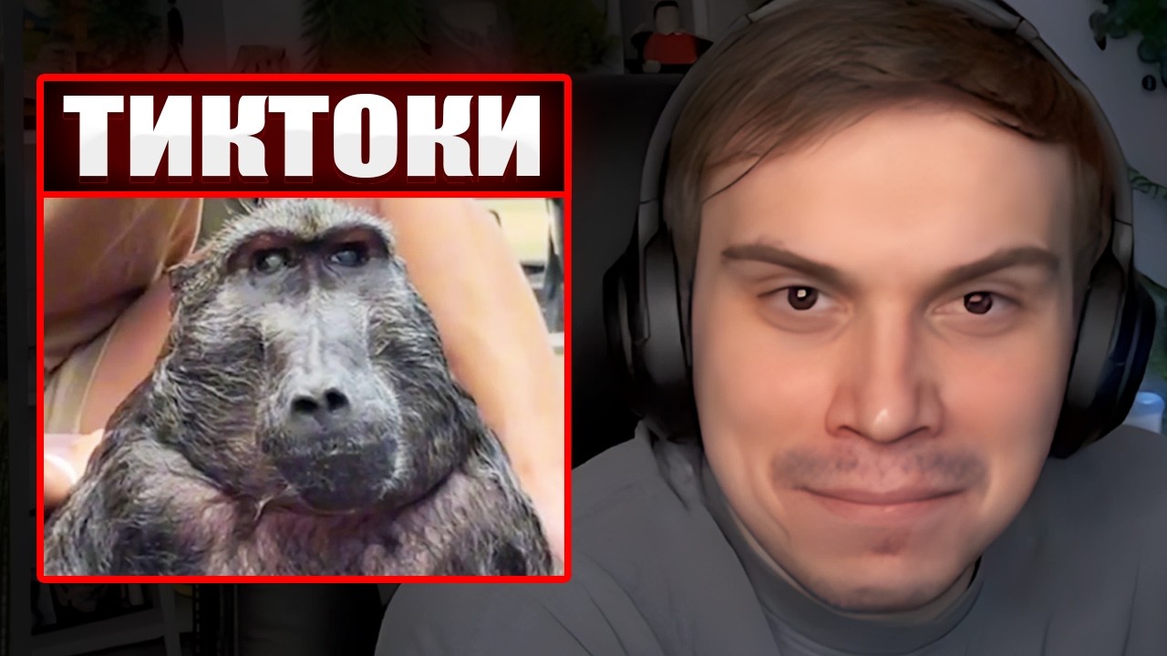 ГЛЕБ СМОТРИТ ТИКТОКИ от ЗРИТЕЛЕЙ #52 | Sasavot