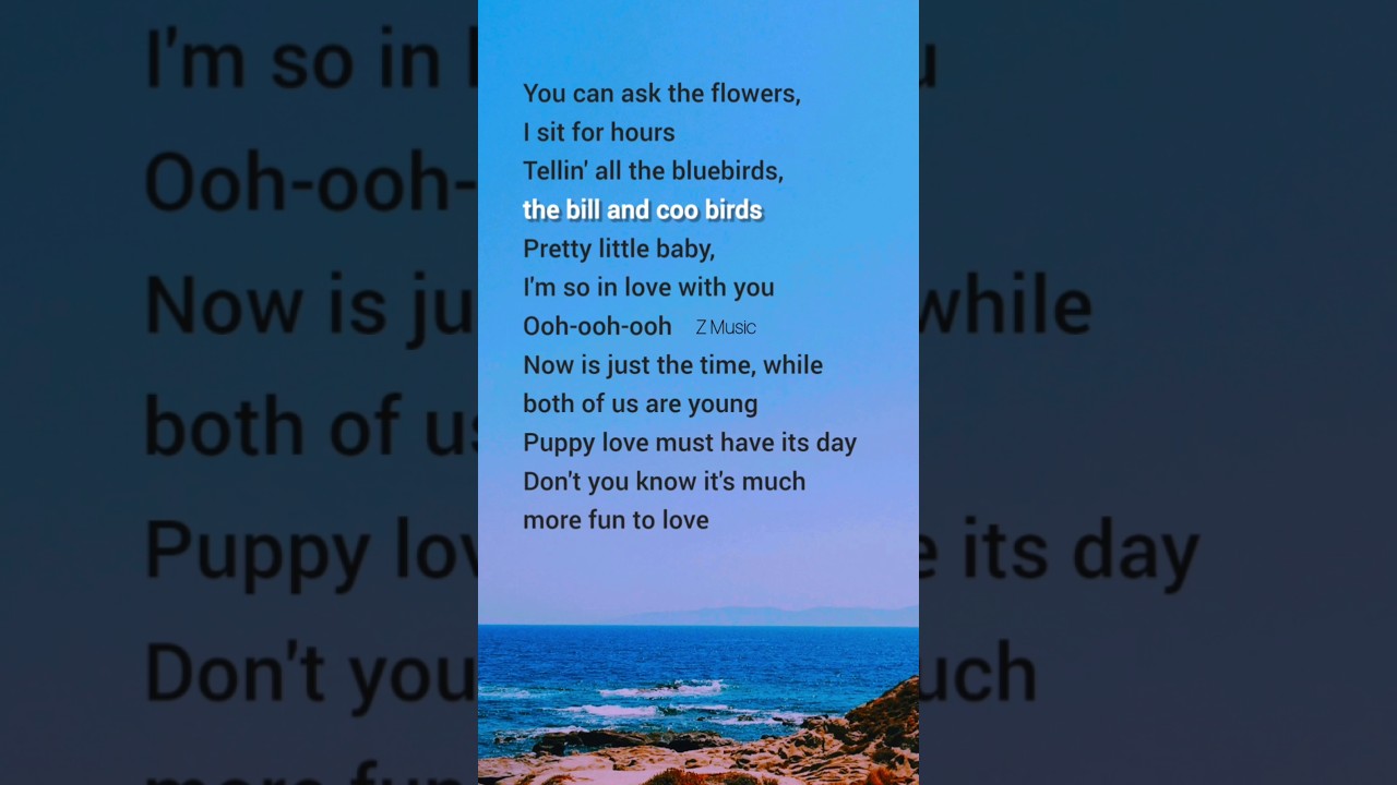 Pretty little baby (Lyrics) Connie Francis #lyrics