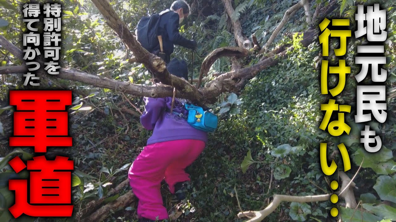 【神奈川】地元民も行けない… 特別許可を得て向かった軍道