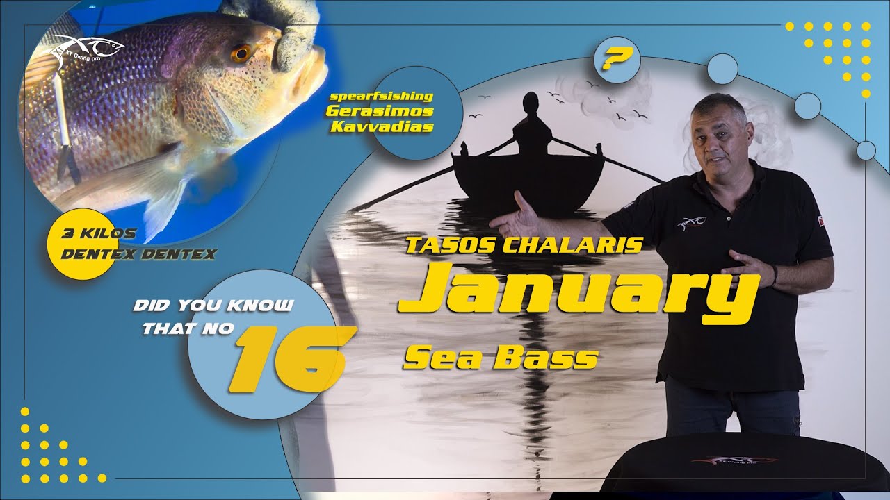 Did you know that 16, January Sea bass