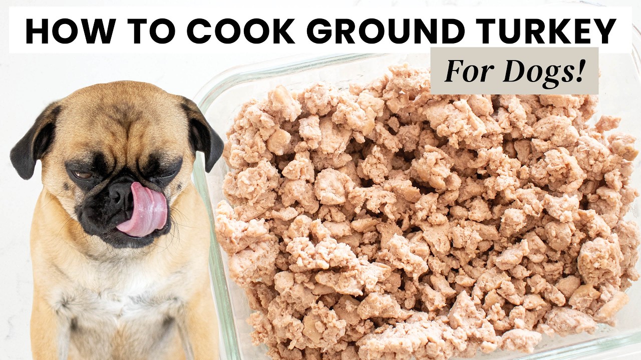 How to Cook Ground Turkey for Dogs (Simple, Healthy & Vet-Safe)