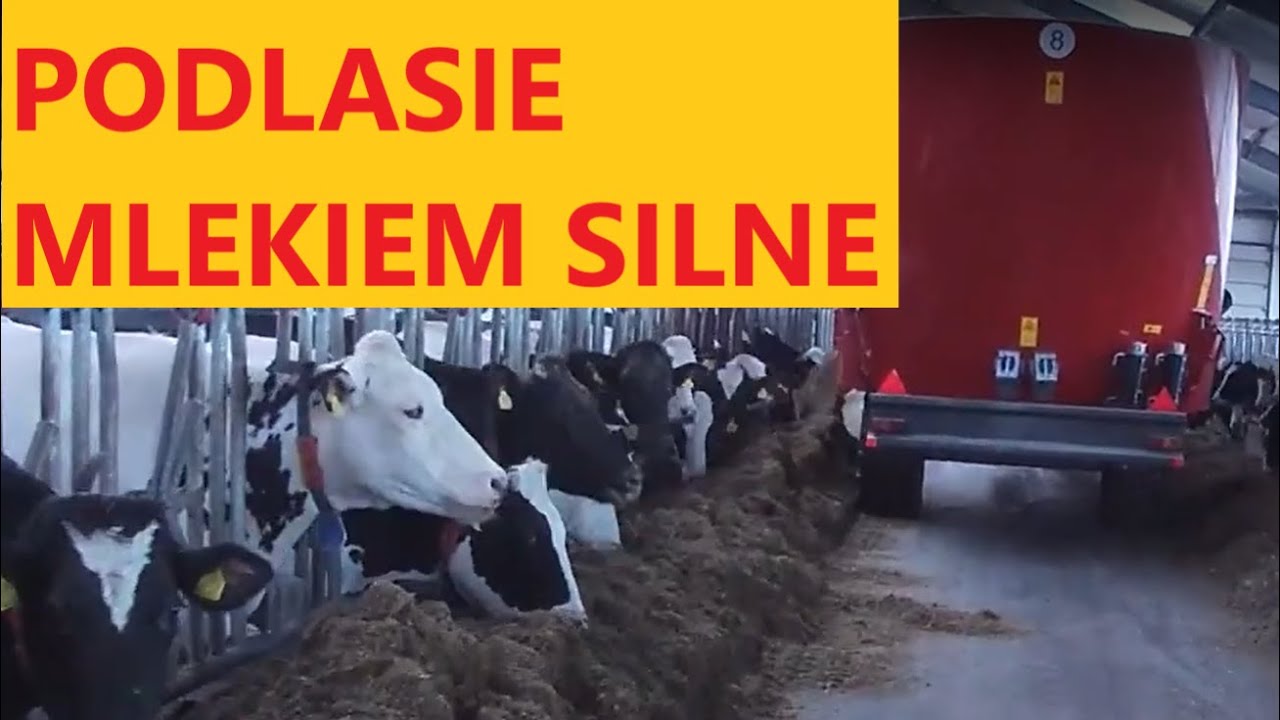 Akcja Wóz paszowy RMH | ROLMECH