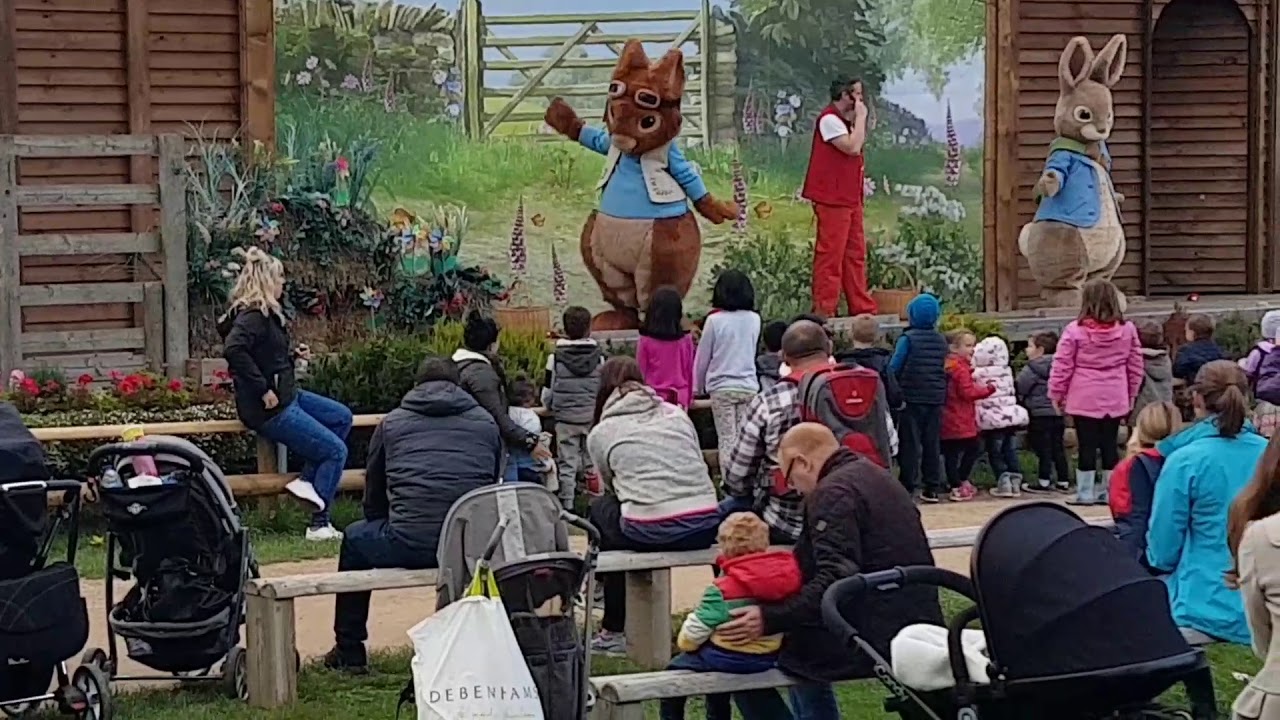 Willow farm rabbit show