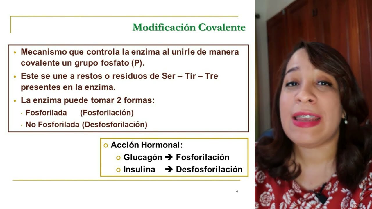 ENZIMAS III: Regulación Enzimática | Dra. Glenny Mirabal | Bioquímica