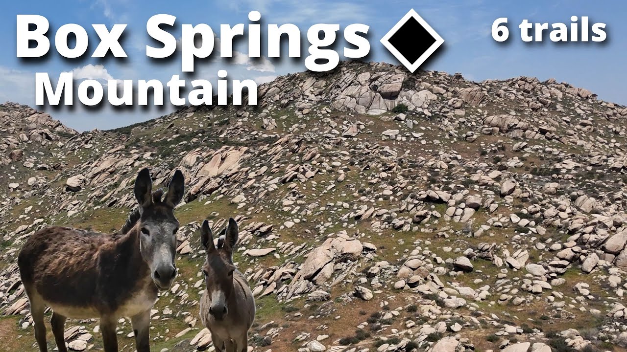 MTB at Box Springs Mountain (Riverside & Moreno Valley) | Trail Catalog