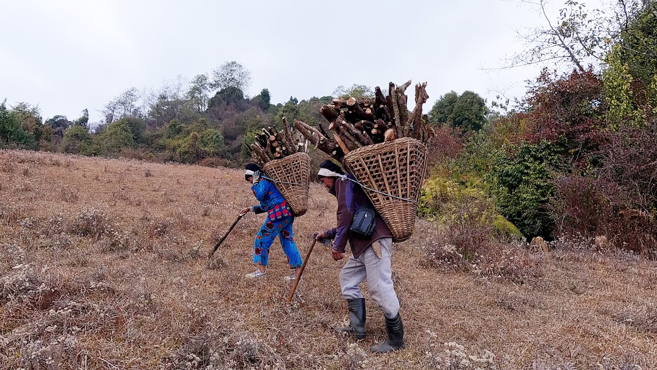 jungle man & his wife working together || firewood in the village || family in the jungle ||