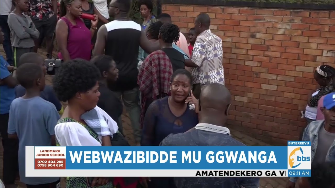 Ebipya ku ttemu eryakoleddwa ku mutaka Lwomwa akulira ekika ky'endiga #Zuukukanensonga
