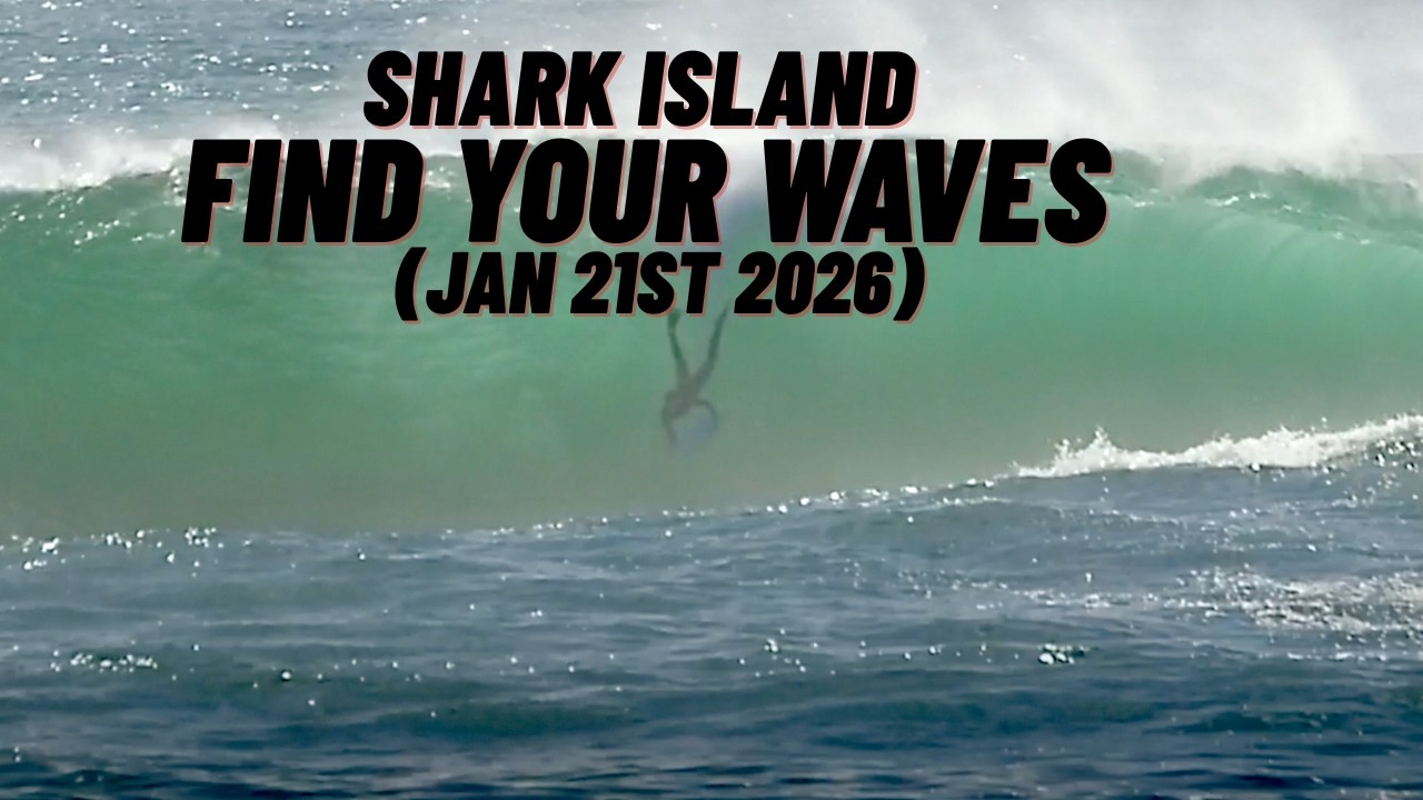 Shark Island – Find Your Waves | Jan 21, 2026