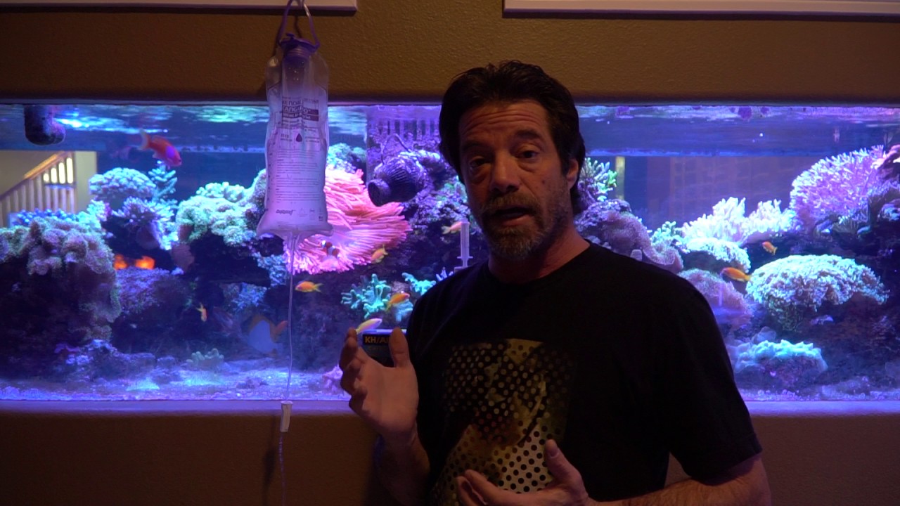Dealing with phosphates in my 700 gallon reef system.