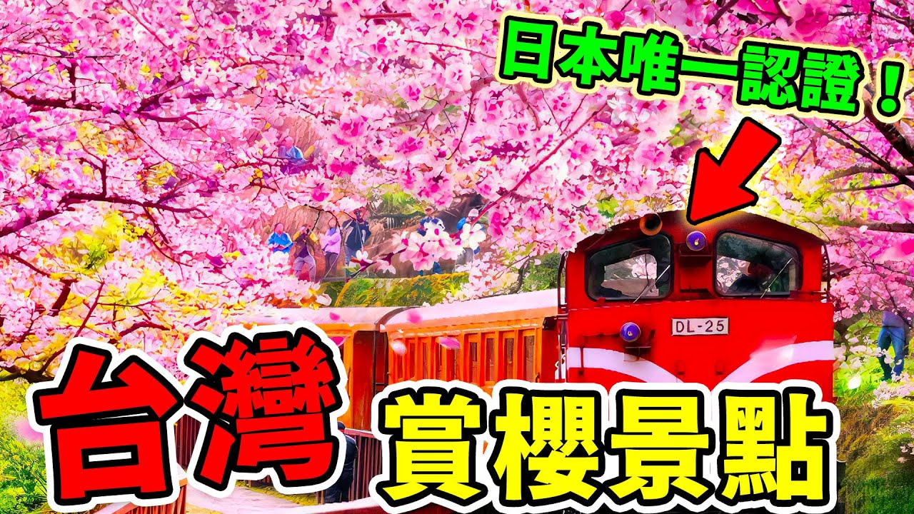 全臺10大最佳賞櫻地點，拉拉山只能排第五，第一名美到不用飛日本，是唯一日本海外認證的賞櫻名所，擁有全臺灣最大的櫻花季！