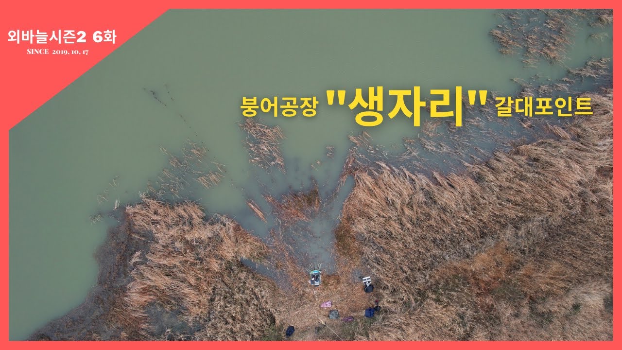 외바늘시즌2 [6화] 붕어 공장, 생자리 갈대 포인트