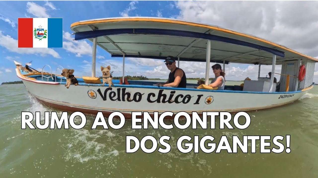Um dos lugares mais impressionantes do Brasil: encontro do Velho Chico com o mar EP. 20