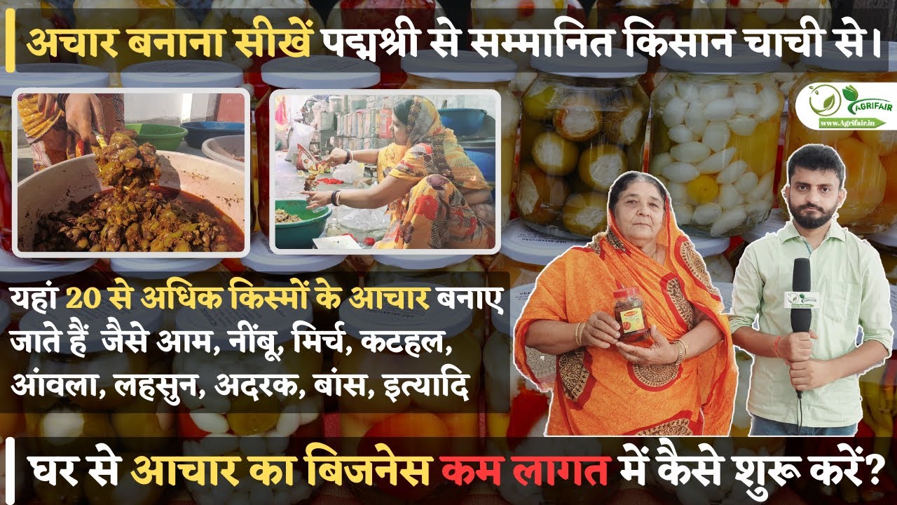 अचार बनाना सीखें पद्मश्री सम्मानित किसान चाची से। घर से आचार का बिजनेस कम लागत में कैसे शुरू करें?