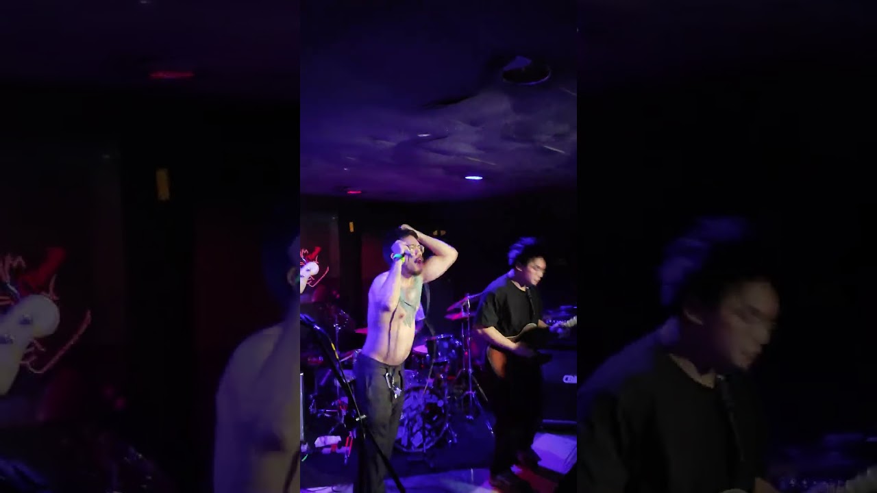 Brickcity - Common Remedies for Contemporary People  Live