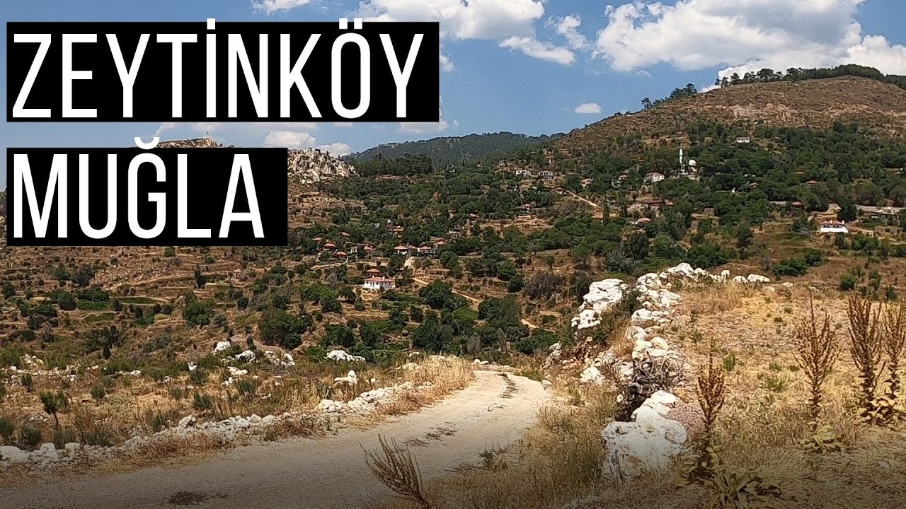 Muğla/Menteşe/Zeytin/2020/vlog84