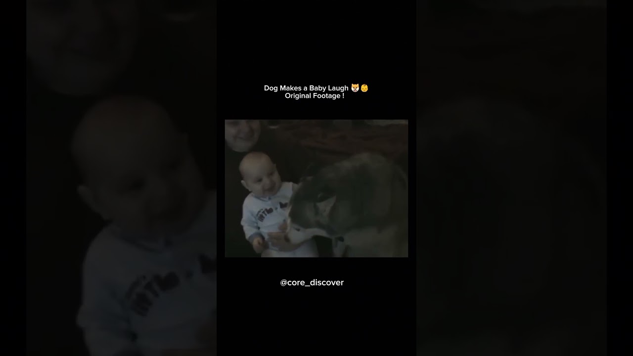 Our Siberian Husky “talks” and makes our 5-month-old baby laugh 🐶👶