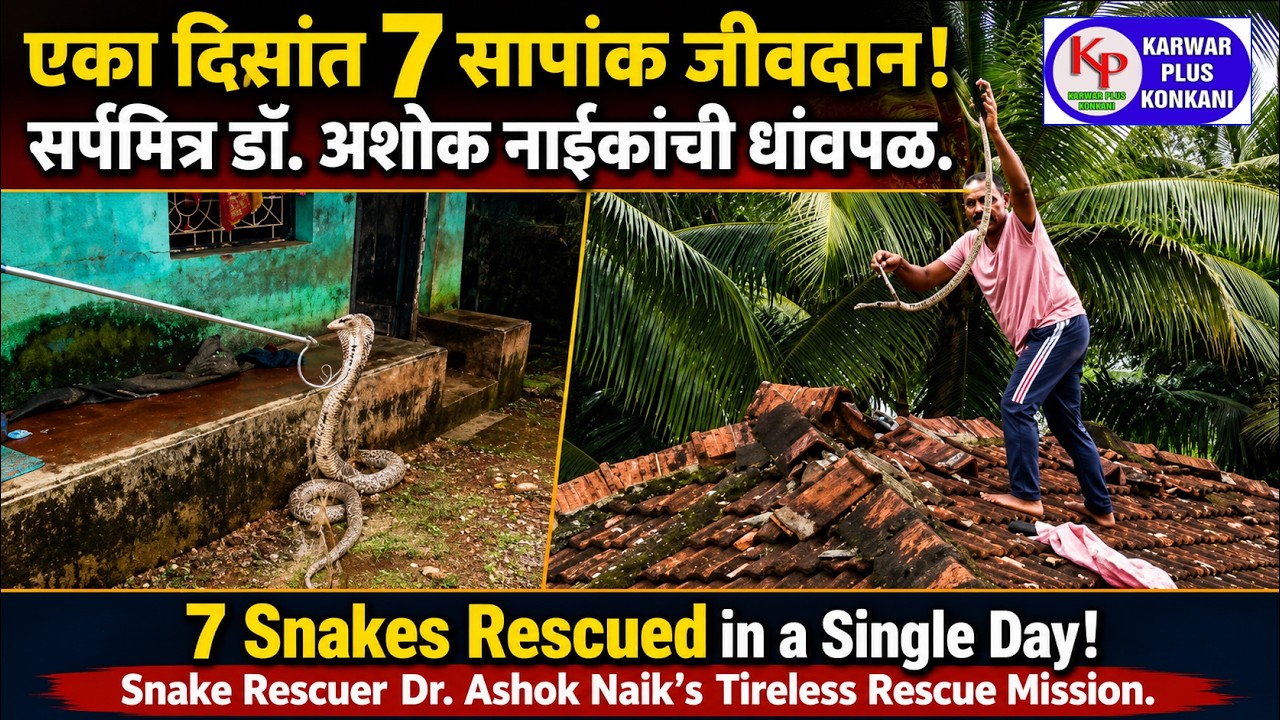 KARWAR PLUS KONKANI NEWS TODAY 31-07-2026 #konkaninews  #karwarkokaninews #Karwarpluskonkani