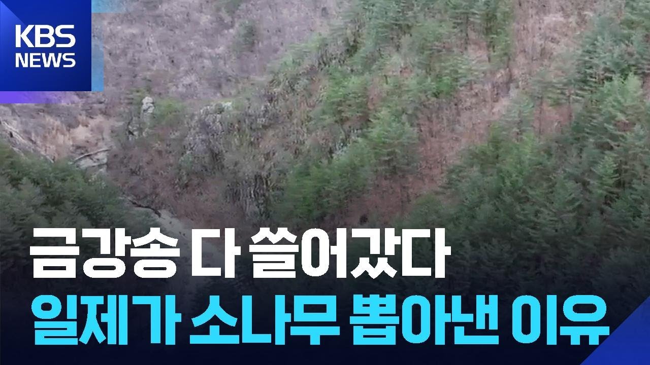 영동지역 곳곳 일제 수탈…역사의 흔적 기억해야 / KBS  2026.02.27.