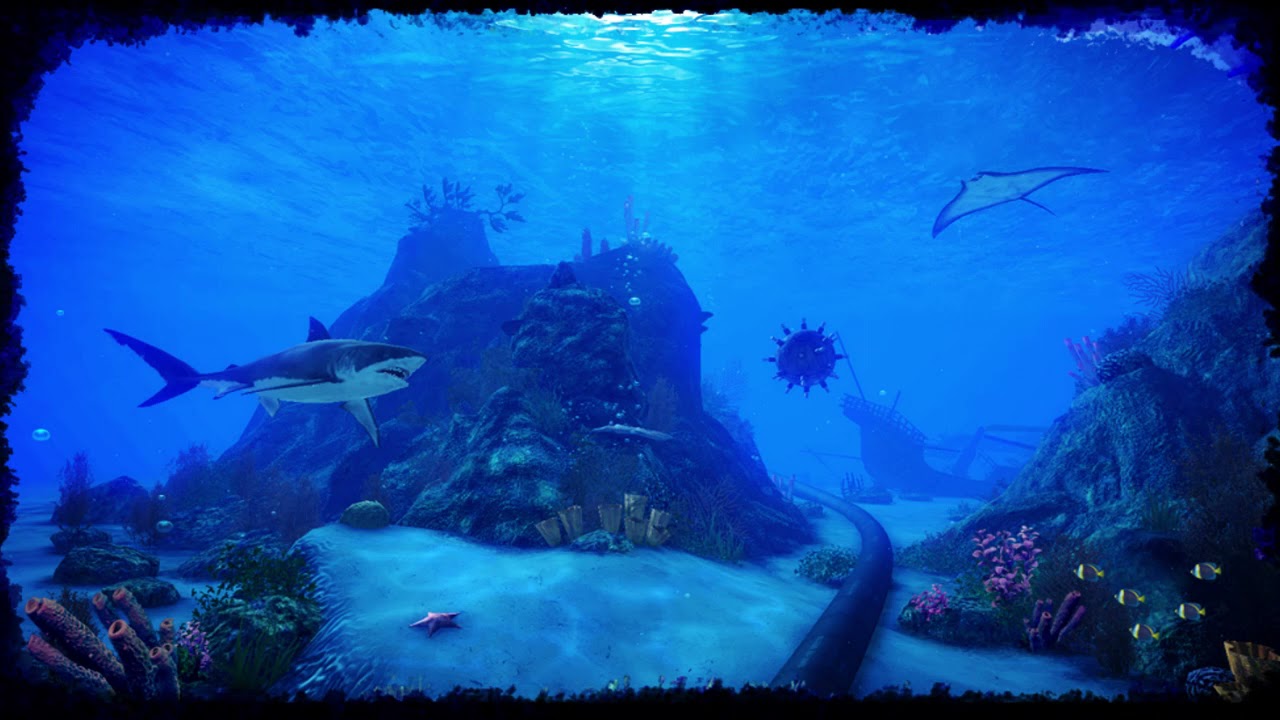 Süpercan 2 OST - Fanus Combat