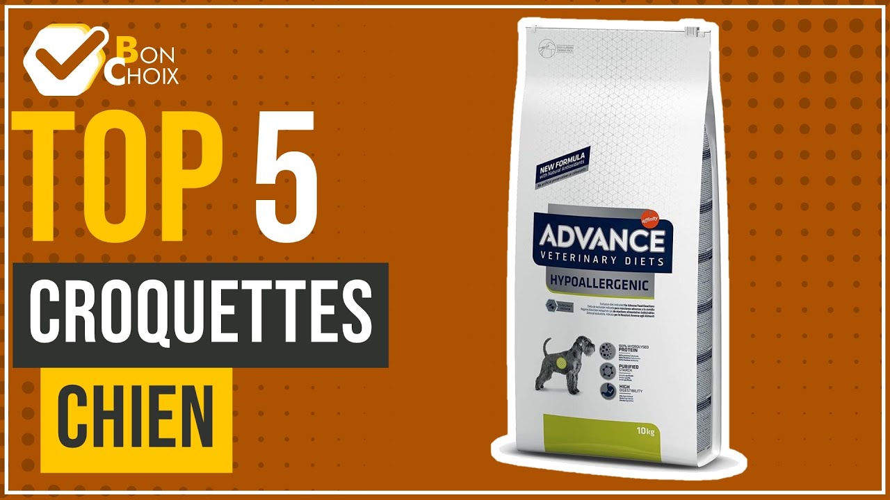 Croquettes chien - Top 5 - (BonChoix)