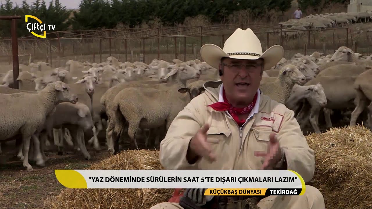 Küçükbaş Dünyası-Türkiye de Meralar Hakkında Genel Bilgiler