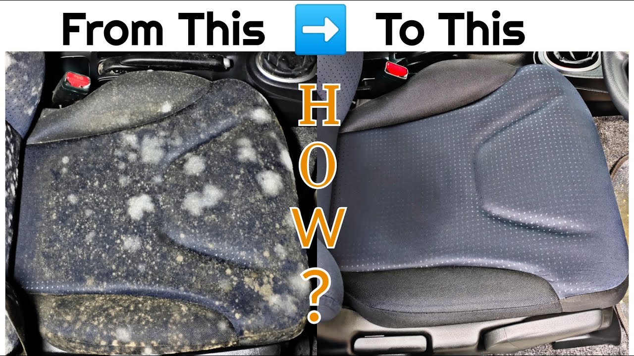 How to Clean Mold/Fungus from Car Interior. Feat. Wow My Car