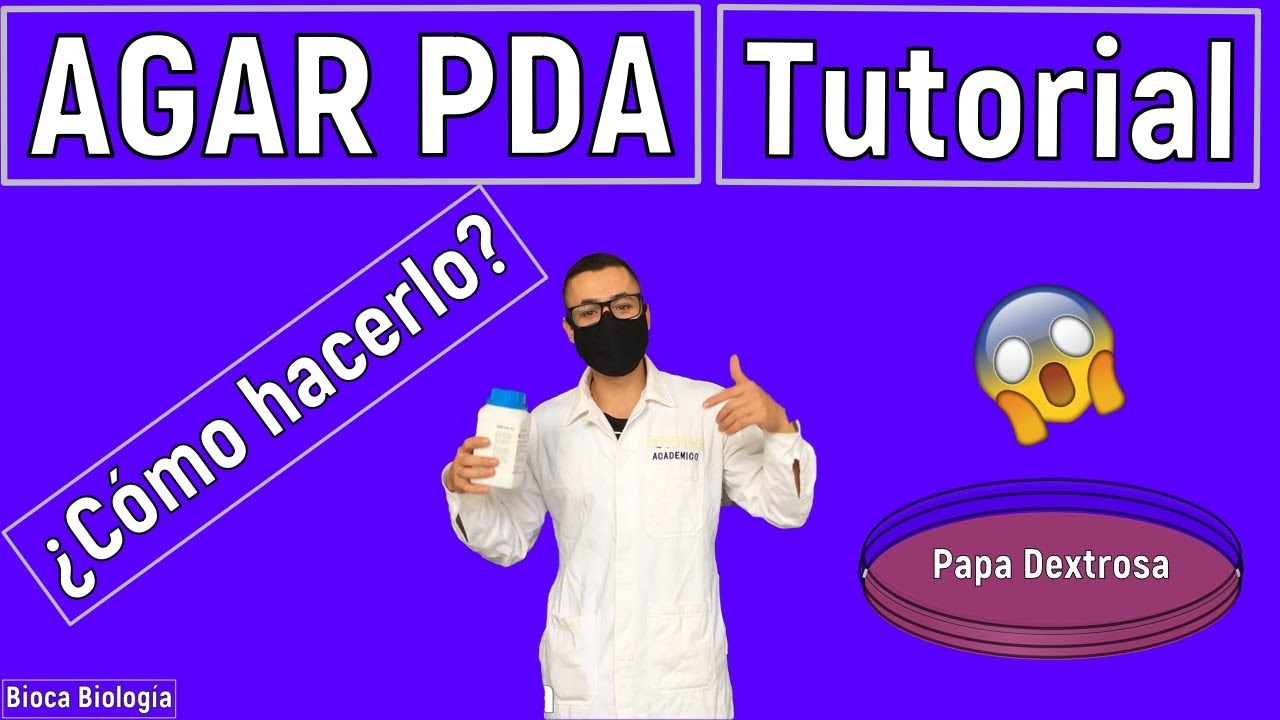 Tutorial: ¿Cómo hacer agar Papa Dextrosa (PDA) Correctamente?