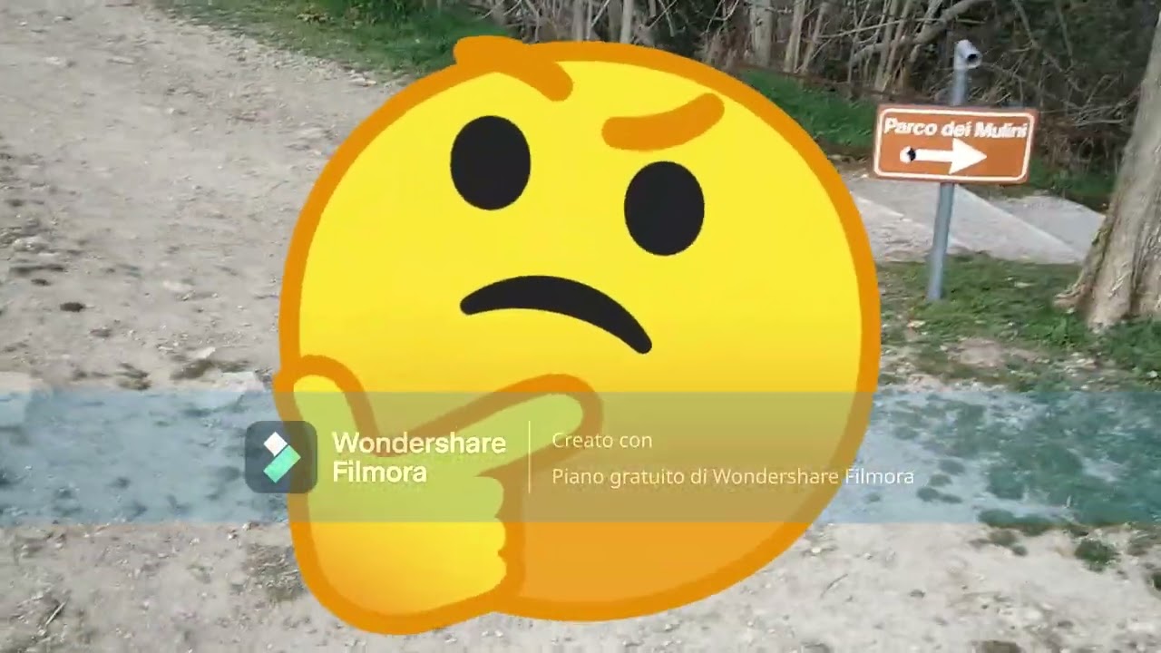 Vlog alle terme