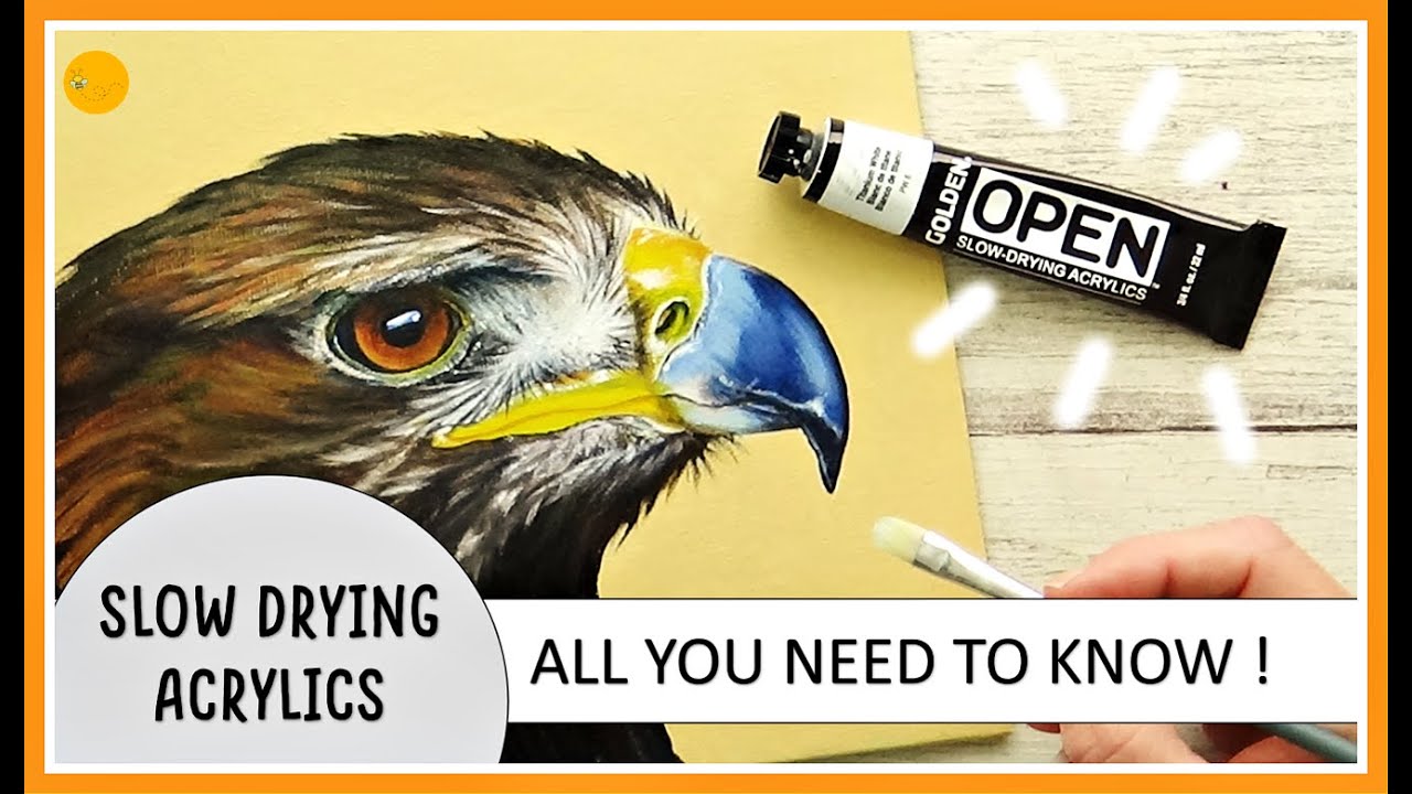 Акриловые краски Golden Open Acrylics — медленно сохнущие акриловые краски — всё, что вам нужно з...