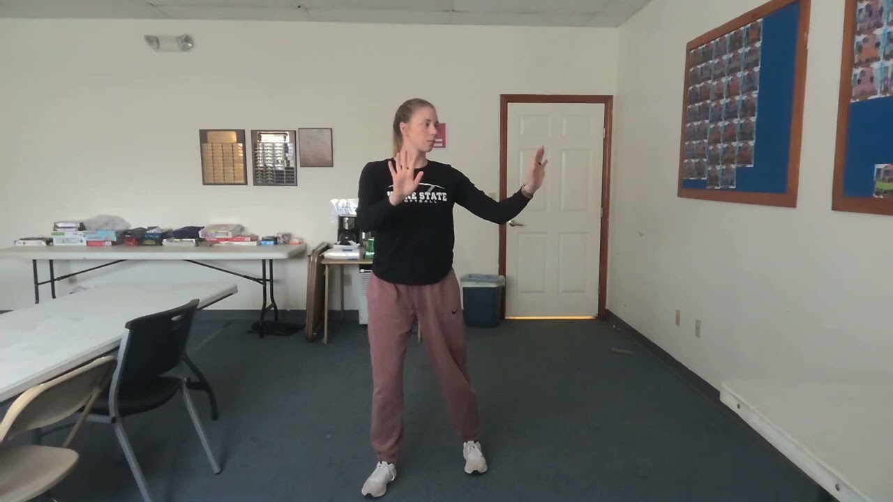 Form 3 -Single Whip (Right)