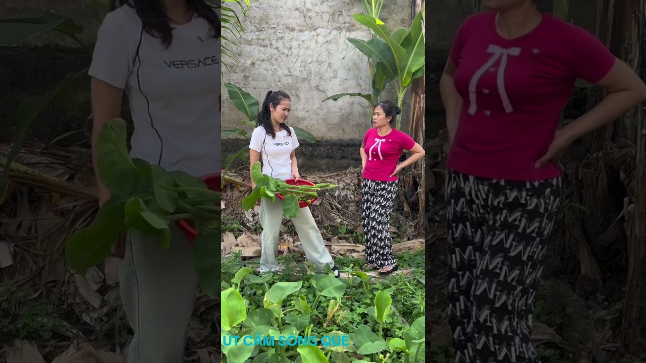 Để chị tu cưng ơi 