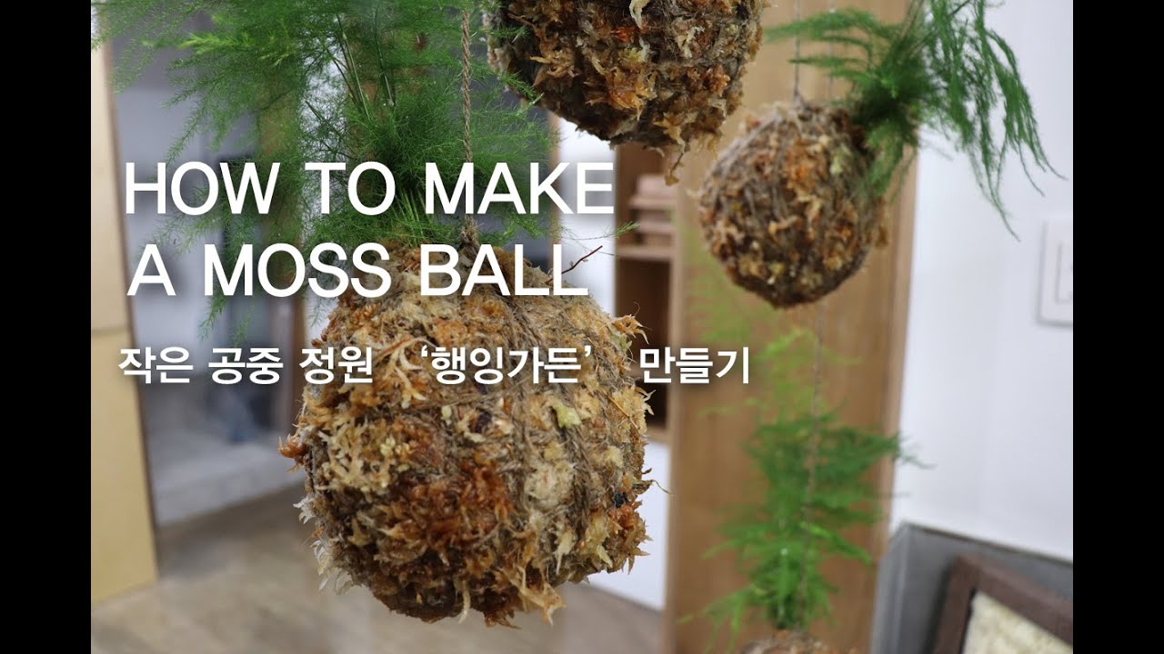 HOW TO MAKE A MOSS BALL l 건수태 모스볼으로 만드는 작은 공중 정원 '행잉가든 ' ㅣ HOME GARDENINGㅣHANGING GARDEN