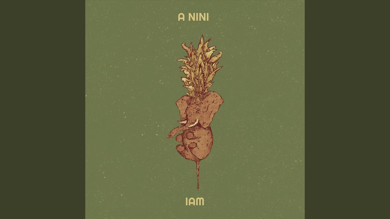 A nini