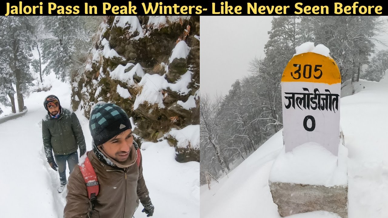 Jalori Pass Trek in Peak Winters I Tirthan Valley 2022 I Delhi to Tirthan Valley I Desi Wanderer I