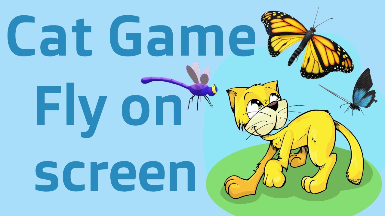 Fly on screen for cat - Video for cats to play and watch