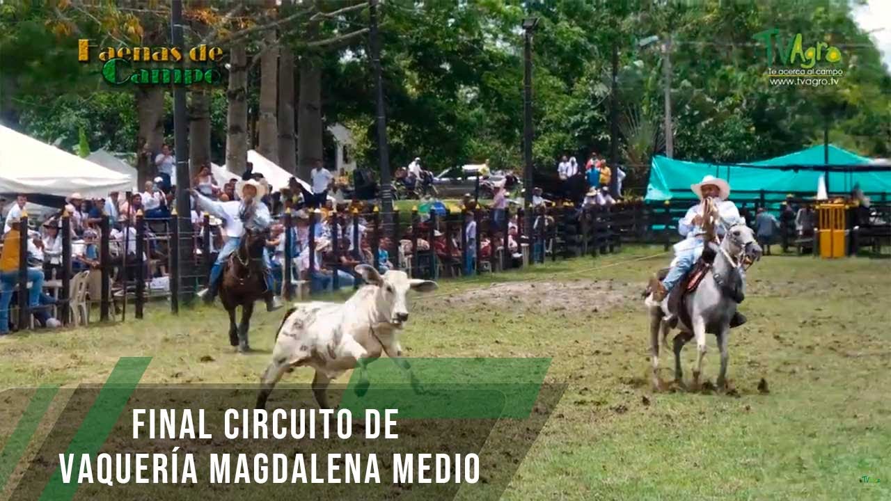 Final Circuito de Vaquería Magdalena Medio - TvAgro por Juan Gonzalo Angel Restrepo