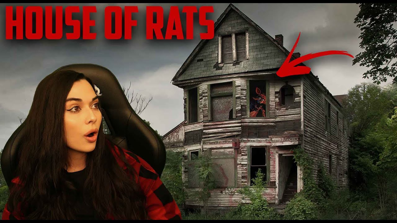 UN MEURTRIER VIT ICI... - (House of rats)