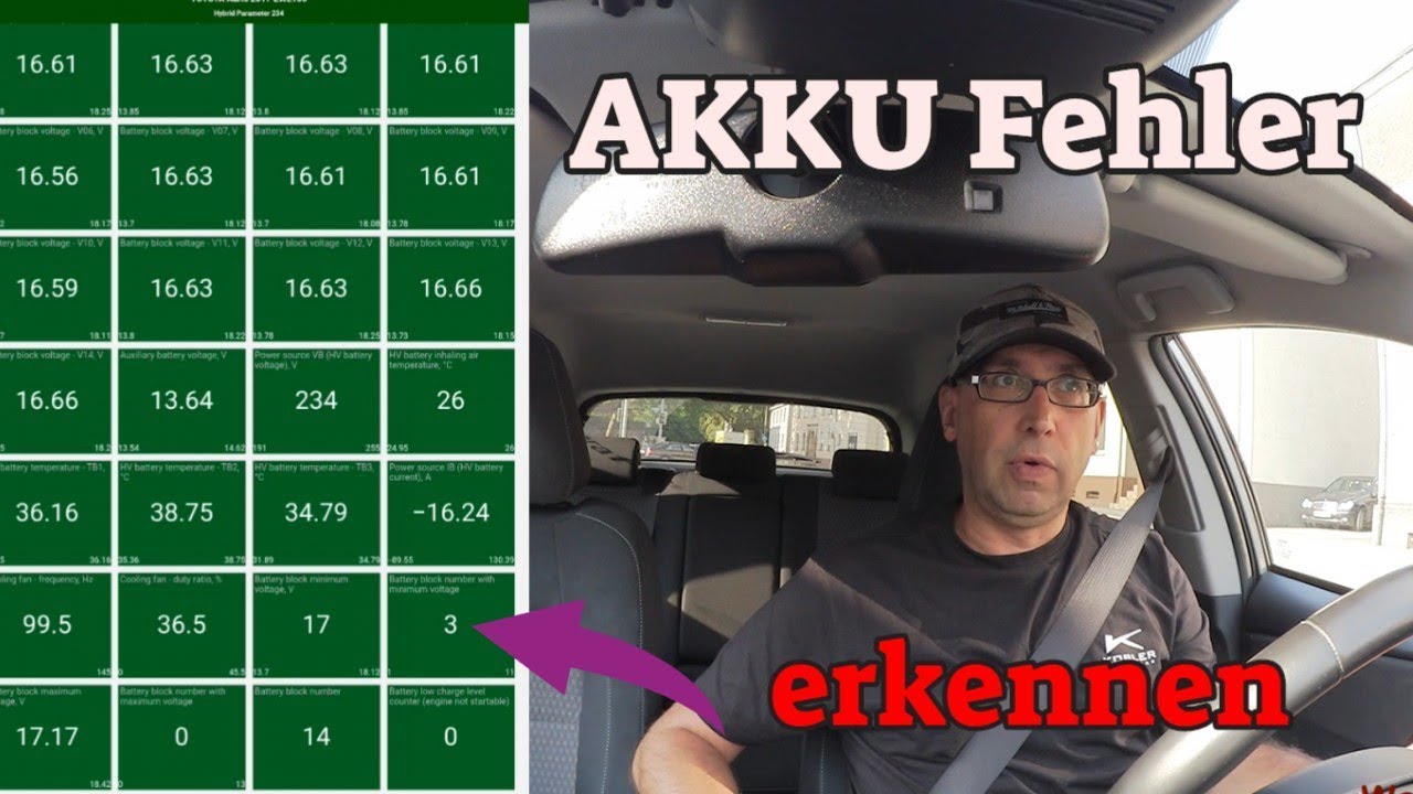 Hochvolt Akku - Probleme und Fehler erkennen - Toyota Auris Hybrid
