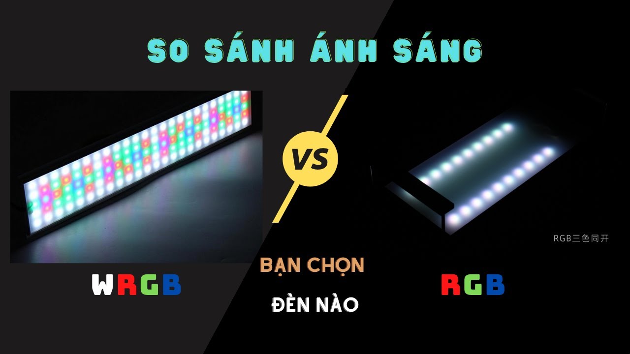 So sánh ánh sáng đèn Led RGB và đèn Led WRGB - Thủy Sinh 4U
