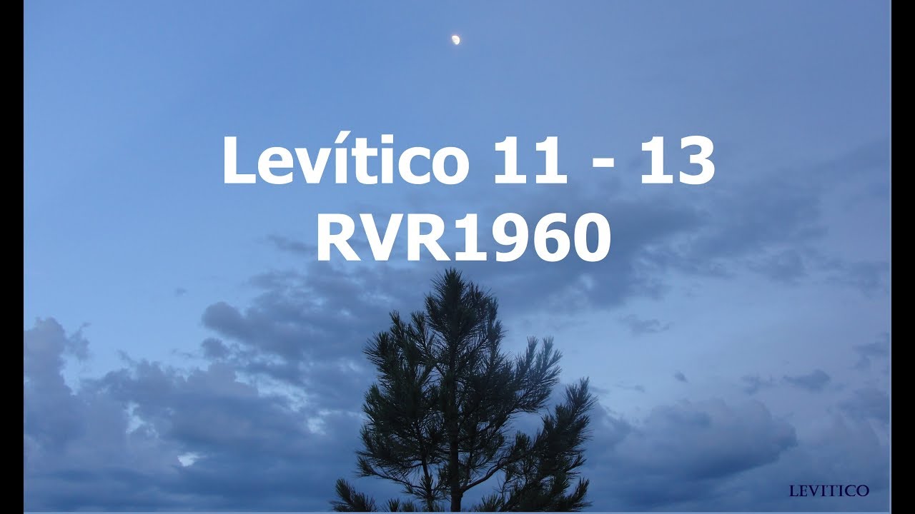 La Biblia hablada/Levítico 11 - 13