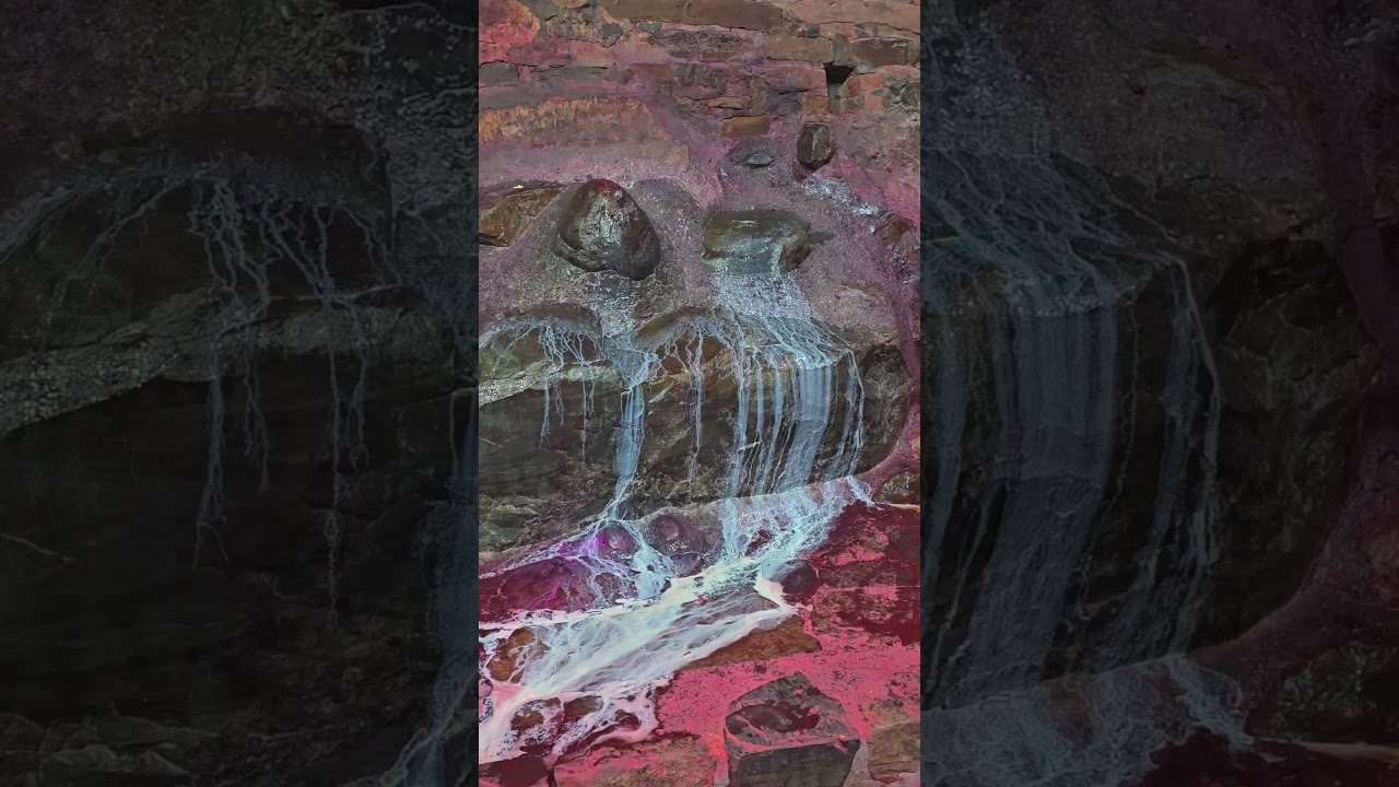 मंगलामुखी सदा सुखी श्री गिरिराज धरण की जय #viralvideo #bhakti #ganga #sorts #like #latestnews #love